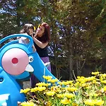 Turisticos Novochoro شقة فندقية 3*