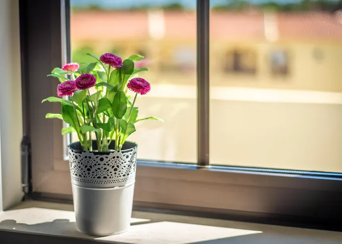 Aparthotel Turisticos Novochoro 3*